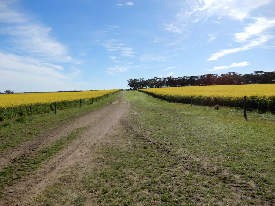 281 Kielow Road, Peake, SA, 5301 - Image 2
