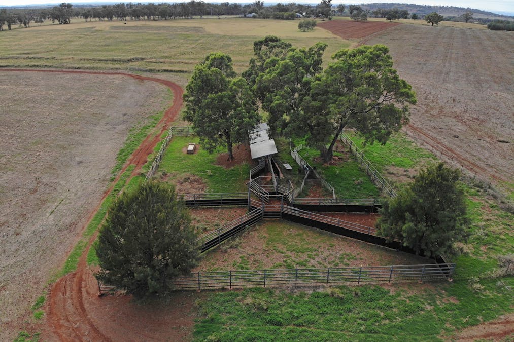 Mahers Lane, Mount Russell, NSW, 2360 - Image 9