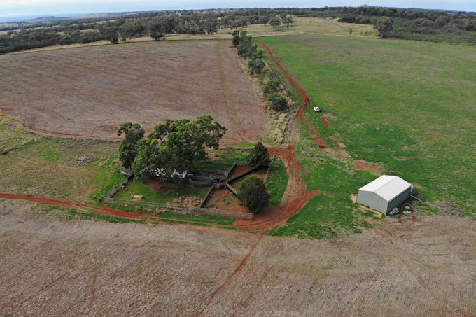 Mahers Lane, Mount Russell, NSW, 2360 - Image 1
