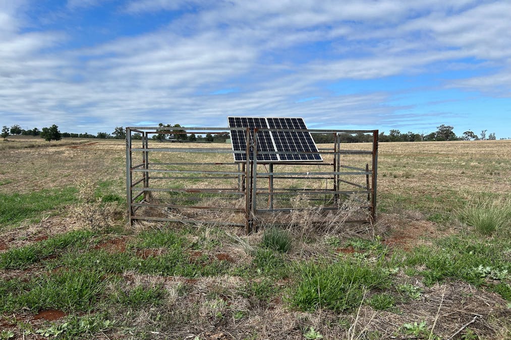 Mahers Lane, Mount Russell, NSW, 2360 - Image 3