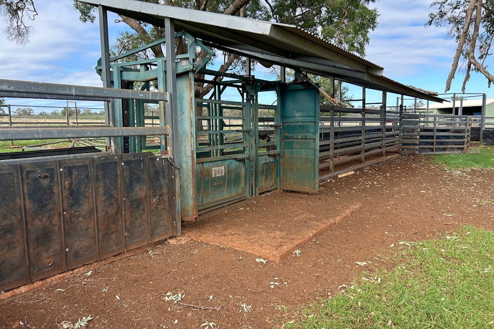 Mahers Lane, Mount Russell, NSW, 2360 - Image 11