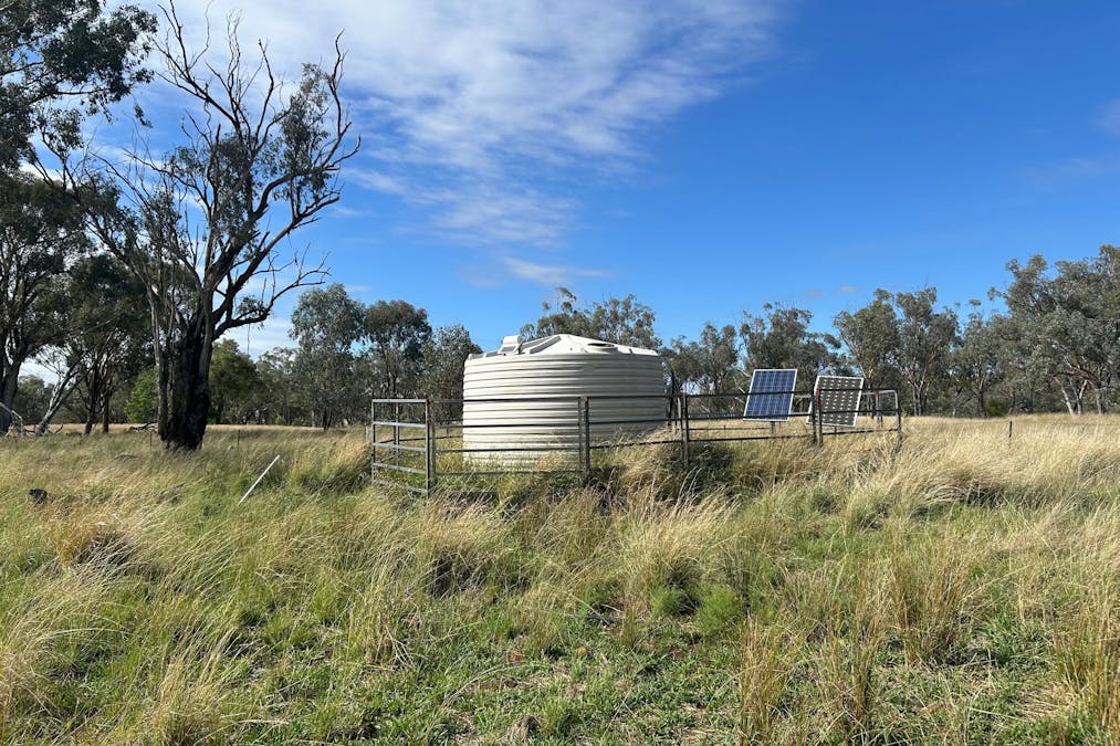 Mahers Lane, Mount Russell, NSW, 2360 - Image 4