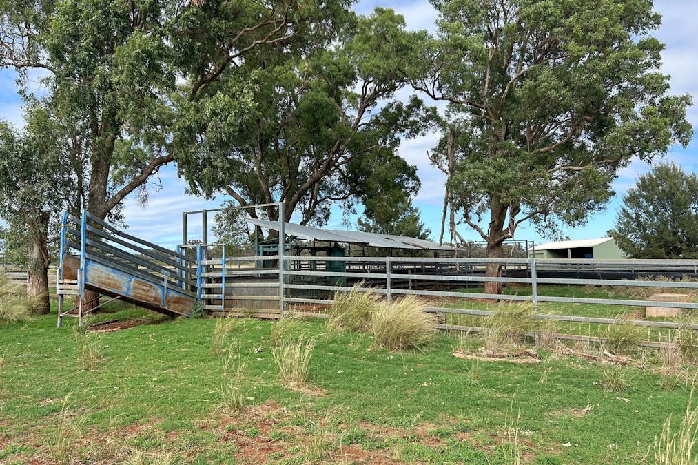 Mahers Lane, Mount Russell, NSW, 2360 - Image 10