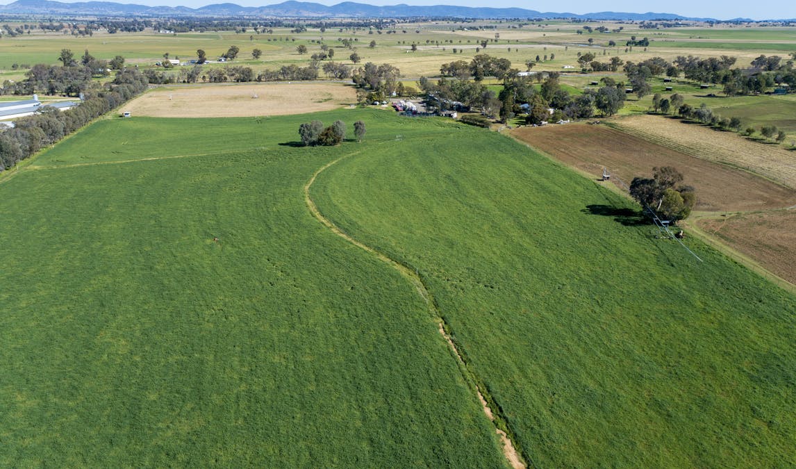 1480 Oxley Highway, Tamworth, NSW, 2340 - Image 12