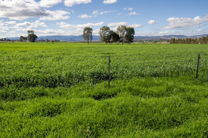 1480 Oxley Highway, Tamworth, NSW, 2340 - Image 1