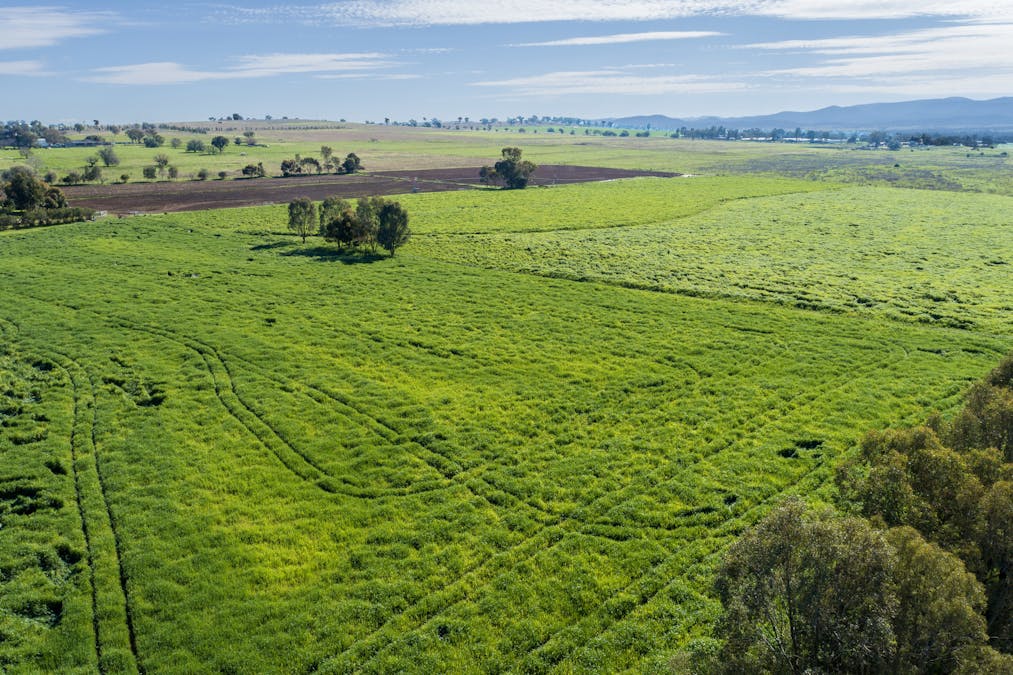 1480 Oxley Highway, Tamworth, NSW, 2340 - Image 8
