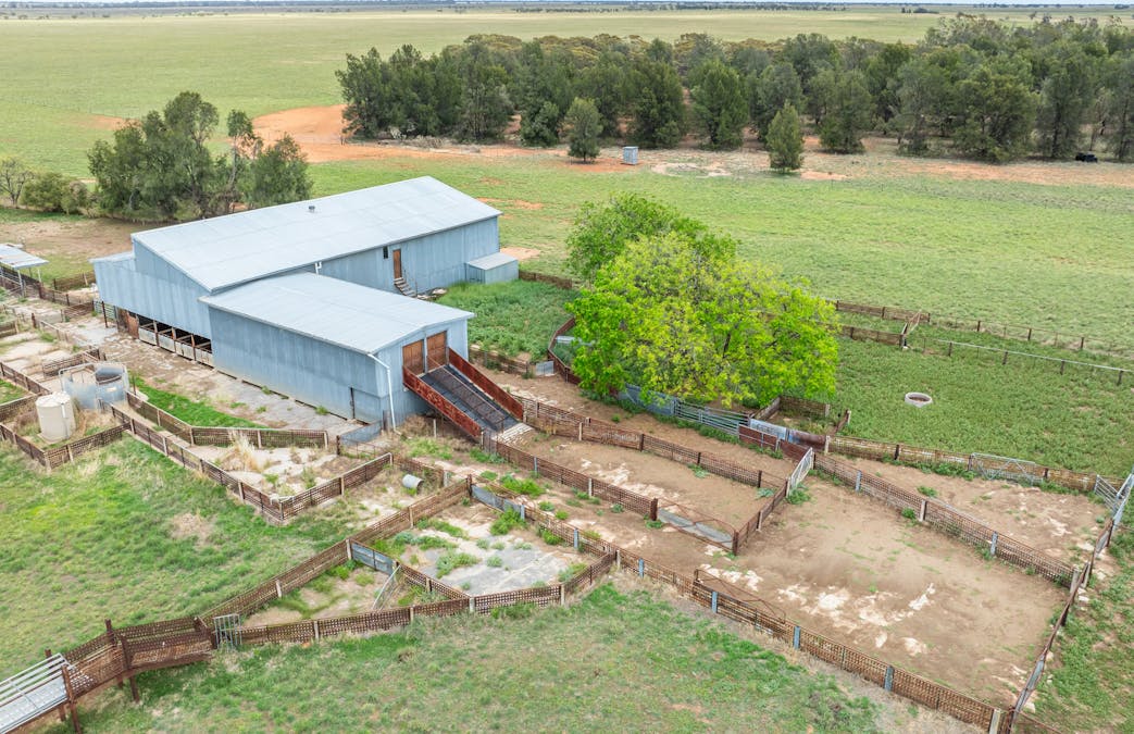 North Yathong , Jerilderie, NSW, 2716 - Image 3