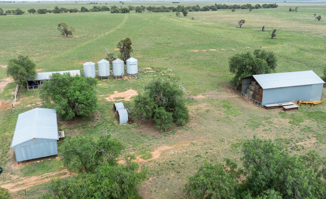 North Yathong , Jerilderie, NSW, 2716 - Image 4