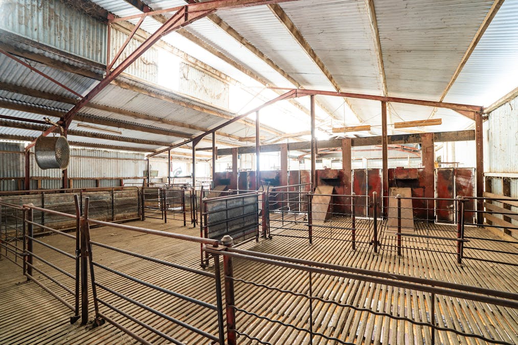 North Yathong , Jerilderie, NSW, 2716 - Image 6