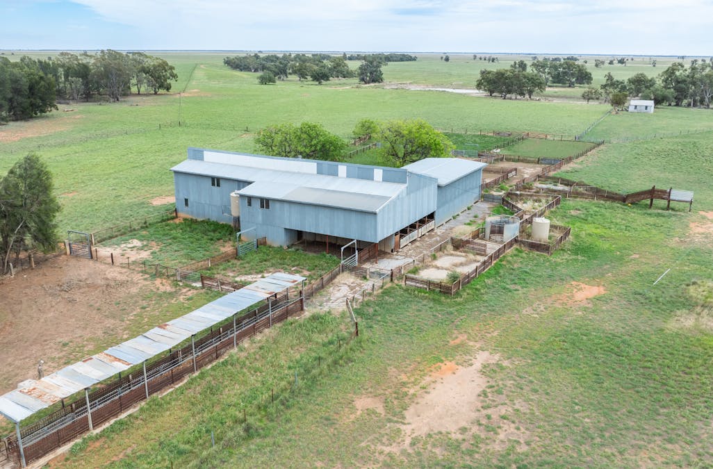 North Yathong , Jerilderie, NSW, 2716 - Image 10