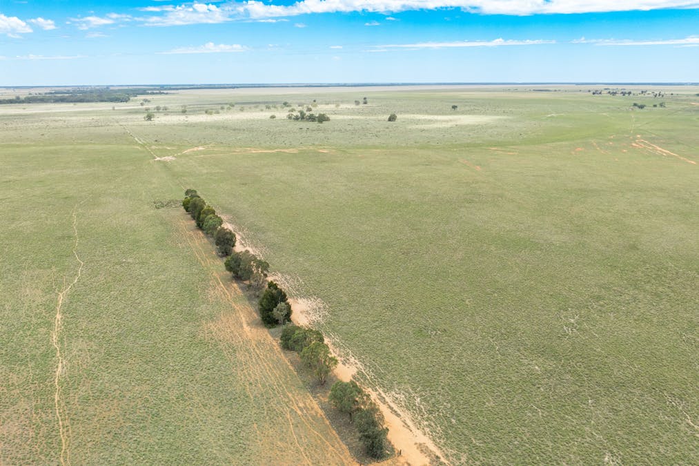 North Yathong , Jerilderie, NSW, 2716 - Image 11