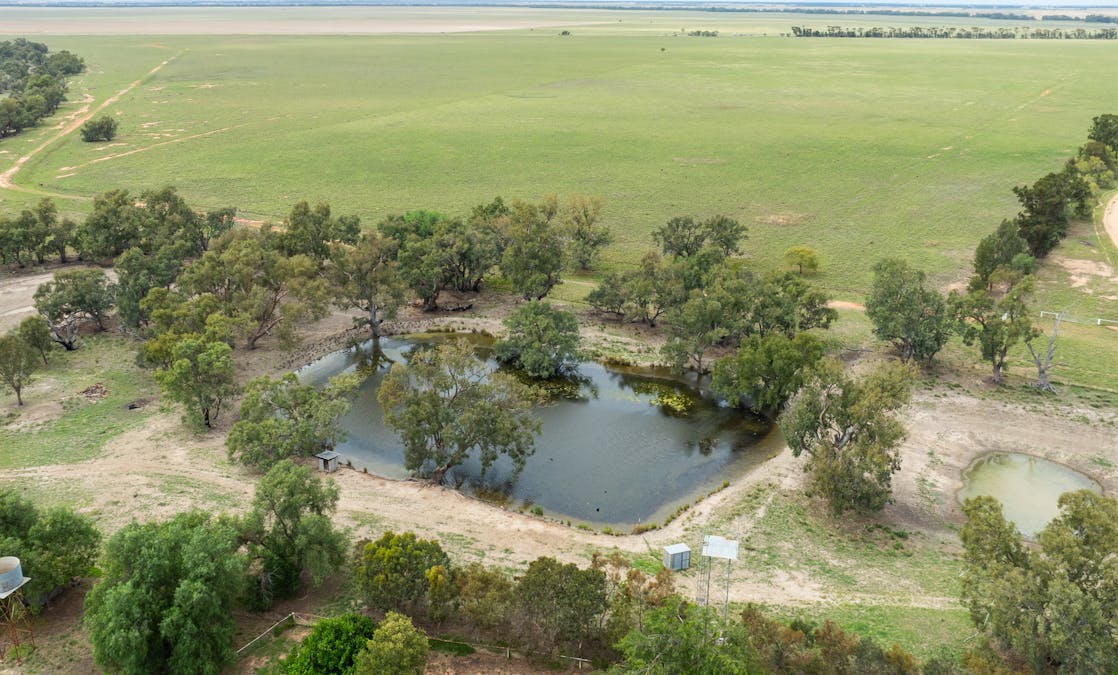 North Yathong , Jerilderie, NSW, 2716 - Image 13