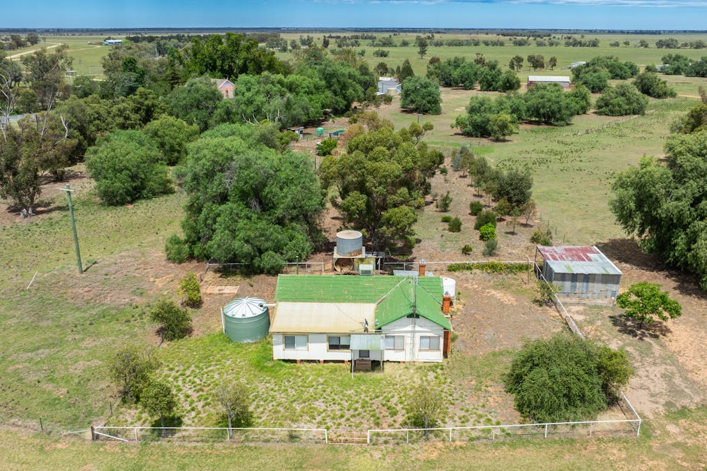 North Yathong , Jerilderie, NSW, 2716 - Image 14