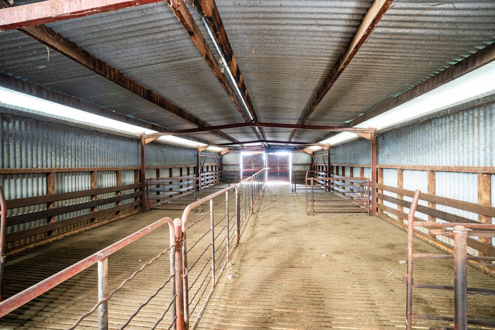 North Yathong , Jerilderie, NSW, 2716 - Image 30