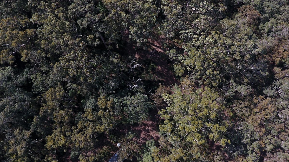 43 Mira Flores Avenue, Porongurup, WA, 6324 - Image 3