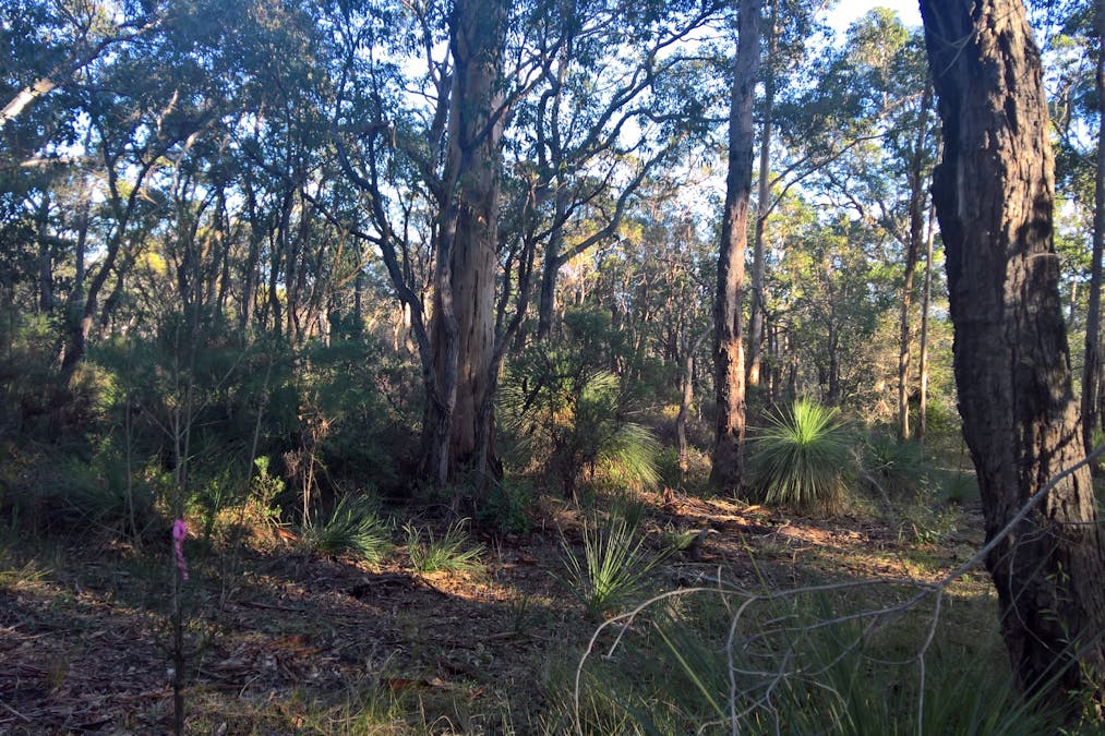 43 Mira Flores Avenue, Porongurup, WA, 6324 - Image 5