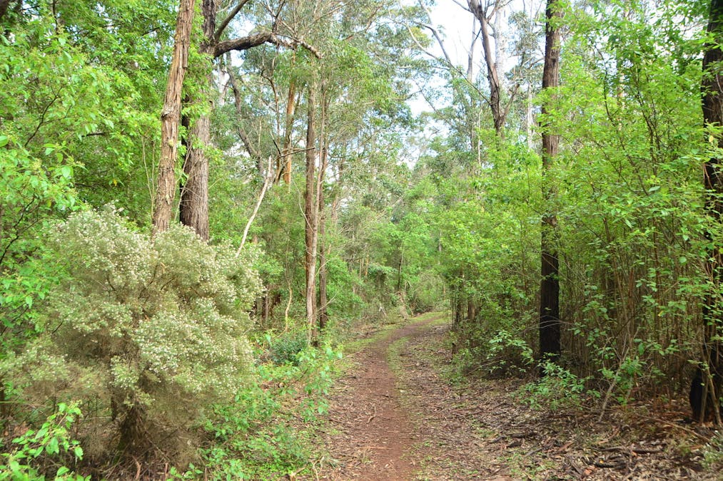 43 Mira Flores Avenue, Porongurup, WA, 6324 - Image 6