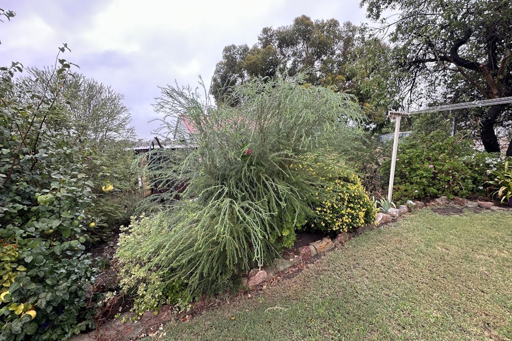 25 Taylor Street, Dumbleyung, WA, 6350 - Image 30