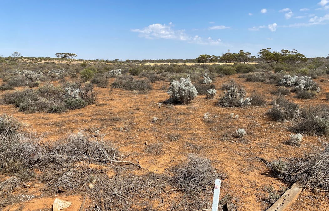 302/Ring Road, Morgan, SA, 5320 - Image 3