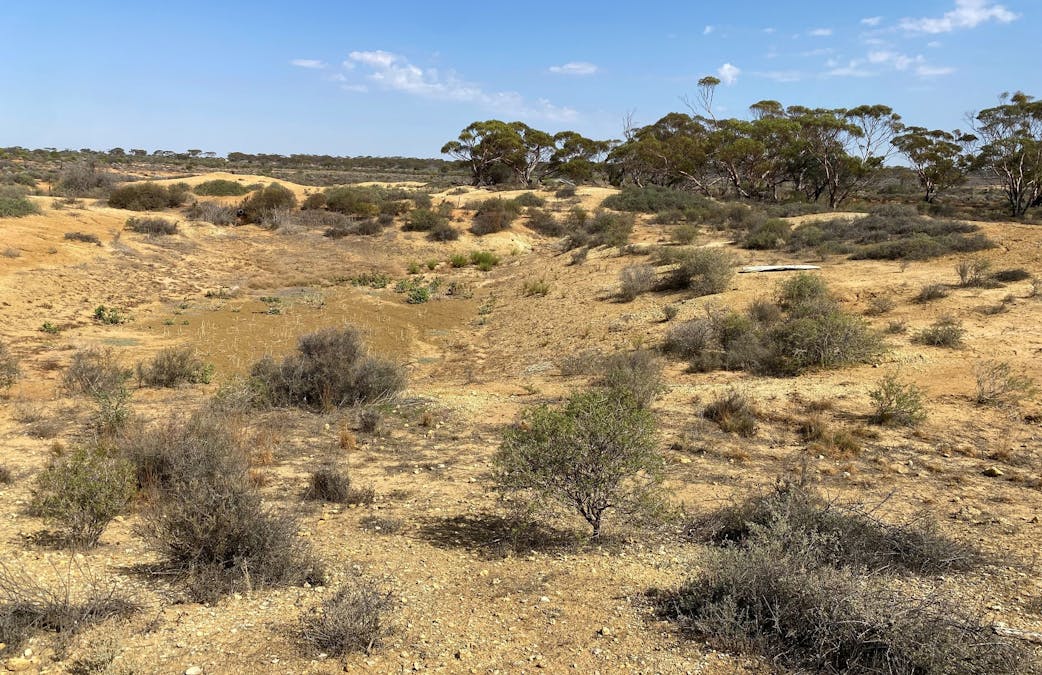 302/Ring Road, Morgan, SA, 5320 - Image 6