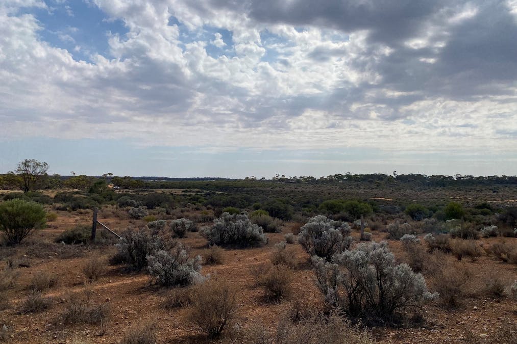 302/Ring Road, Morgan, SA, 5320 - Image 9
