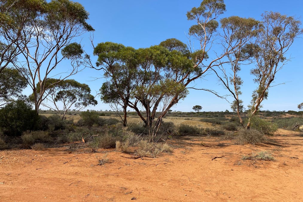 302/Ring Road, Morgan, SA, 5320 - Image 10