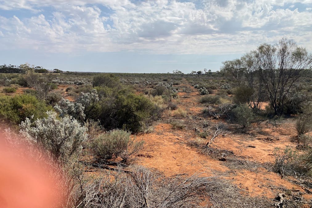 302/Ring Road, Morgan, SA, 5320 - Image 11