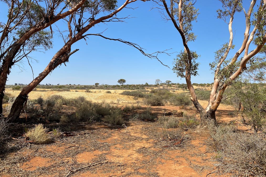 302/Ring Road, Morgan, SA, 5320 - Image 12