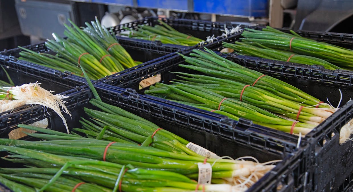 293 Moloney Road, Virginia, SA, 5120 - Image 6