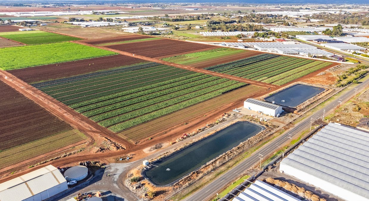 293 Moloney Road, Virginia, SA, 5120 - Image 10