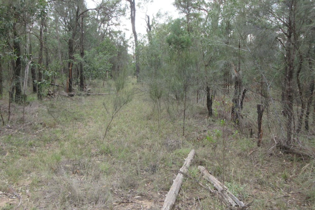 79 Forestry Road, Tara, QLD, 4421 - Image 3