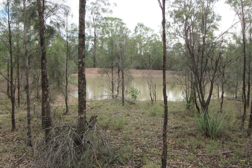 79 Forestry Road, Tara, QLD, 4421 - Image 6