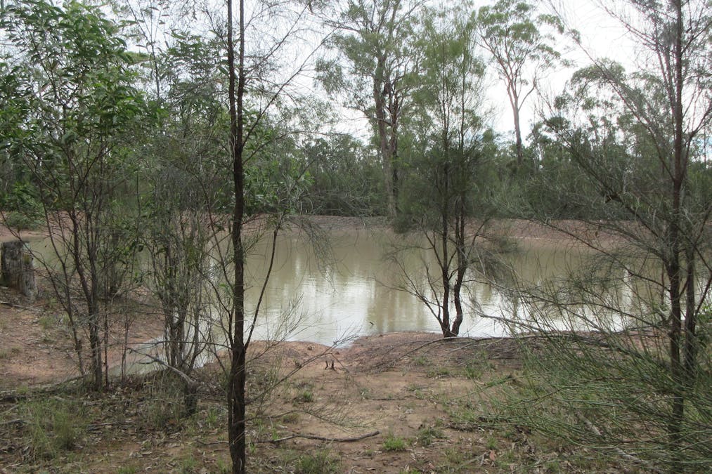 79 Forestry Road, Tara, QLD, 4421 - Image 1