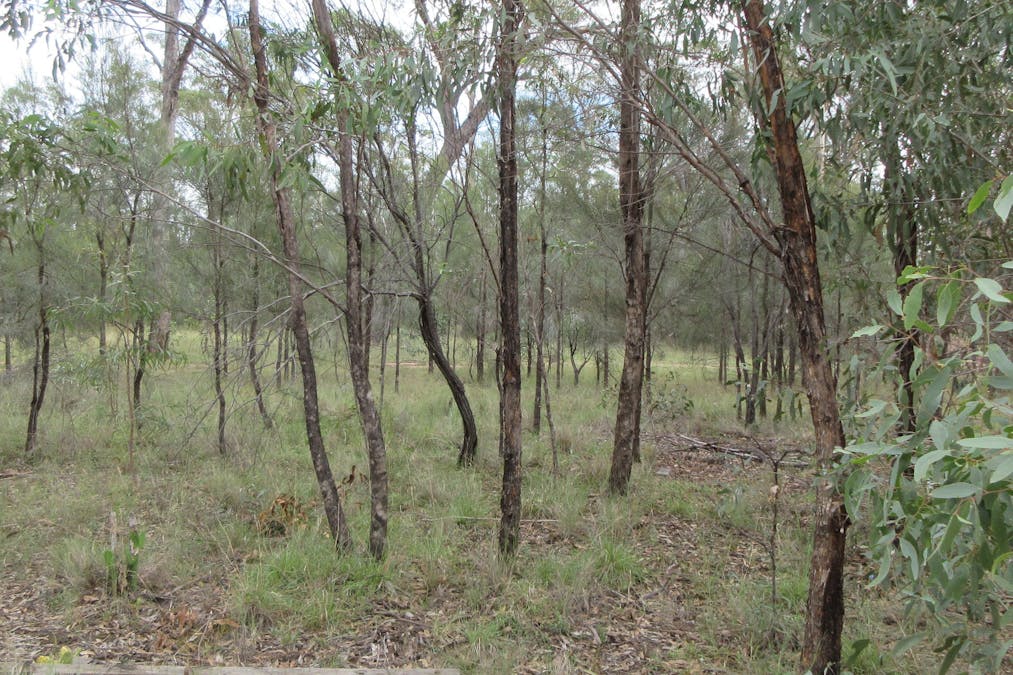 79 Forestry Road, Tara, QLD, 4421 - Image 8