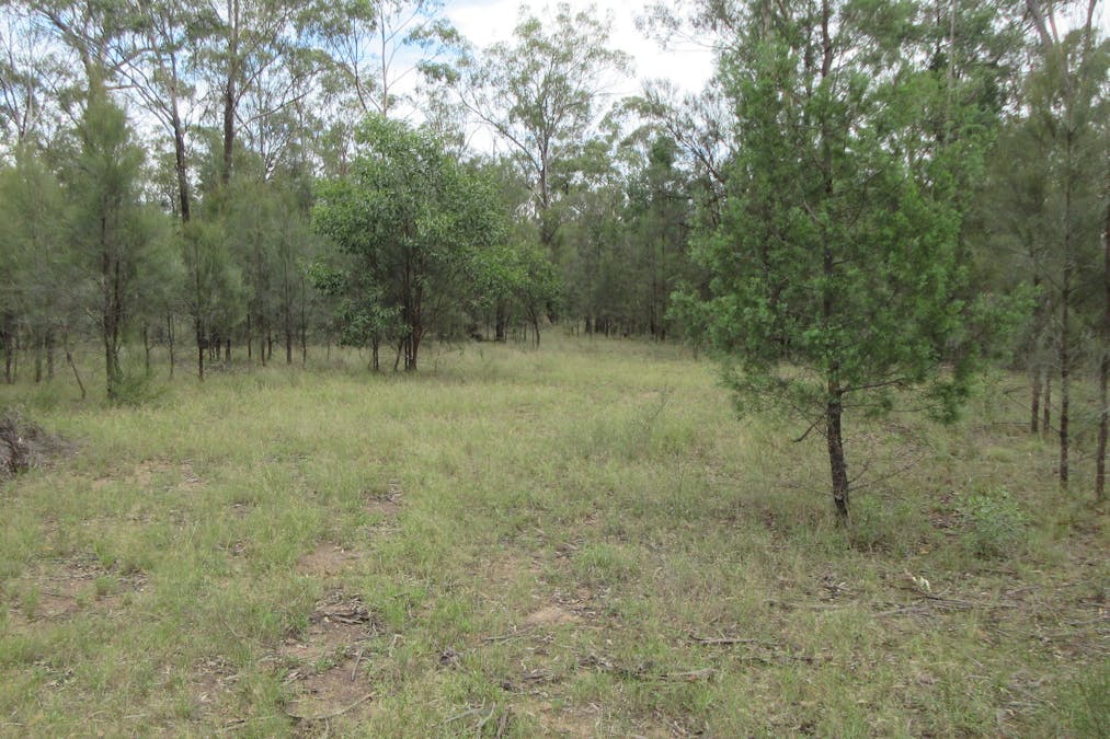 79 Forestry Road, Tara, QLD, 4421 - Image 9