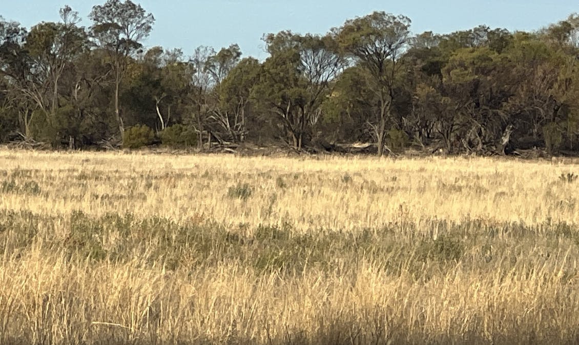 27068 & 50 Chandler Road, Merredin, WA, 6415 - Image 10