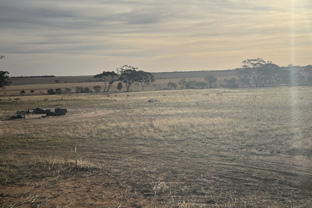 27068 & 50 Chandler Road, Merredin, WA, 6415 - Image 11