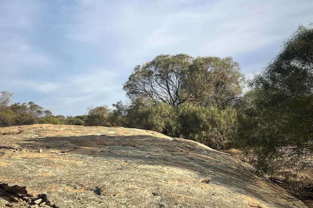 27068 & 50 Chandler Road, Merredin, WA, 6415 - Image 8