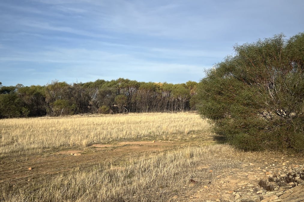 27068 & 50 Chandler Road, Merredin, WA, 6415 - Image 13