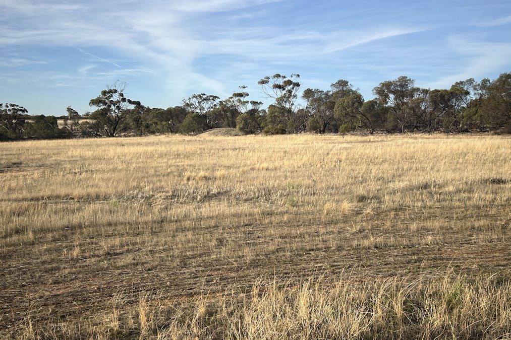 27068 & 50 Chandler Road, Merredin, WA, 6415 - Image 9