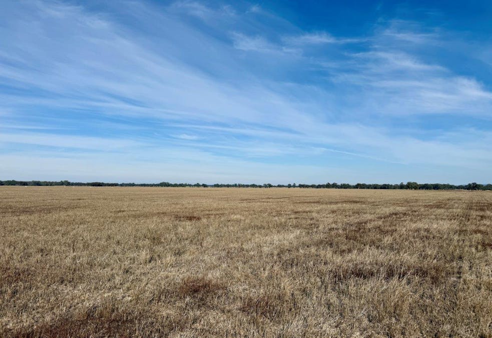 Bridgewater-Maldon Road, Laanecoorie, VIC, 3463 - Image 11