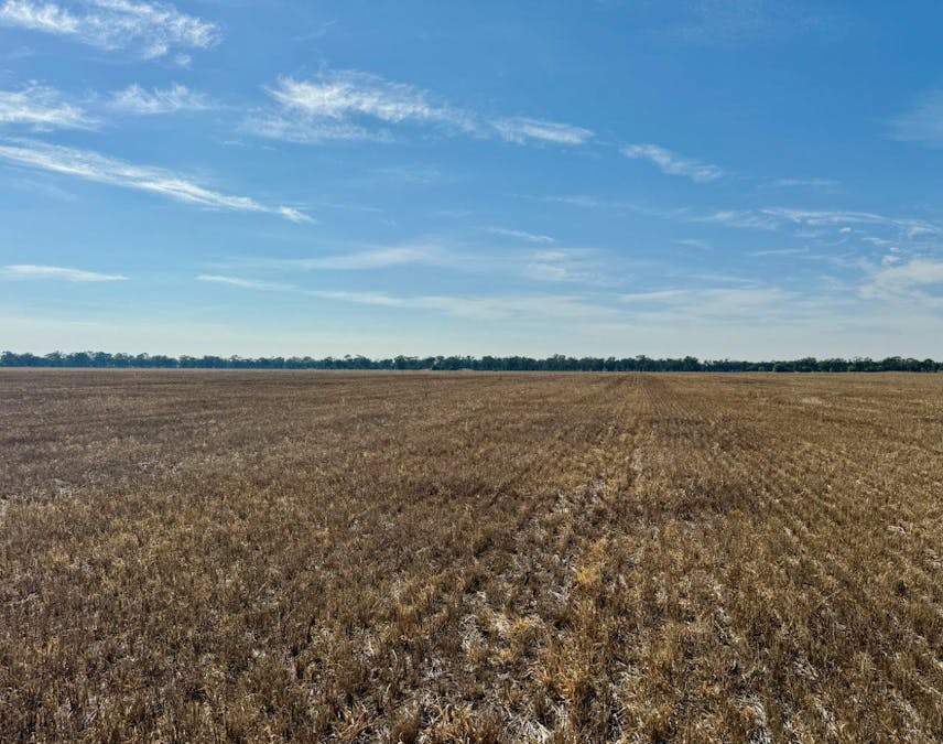 Bridgewater-Maldon Road, Laanecoorie, VIC, 3463 - Image 12