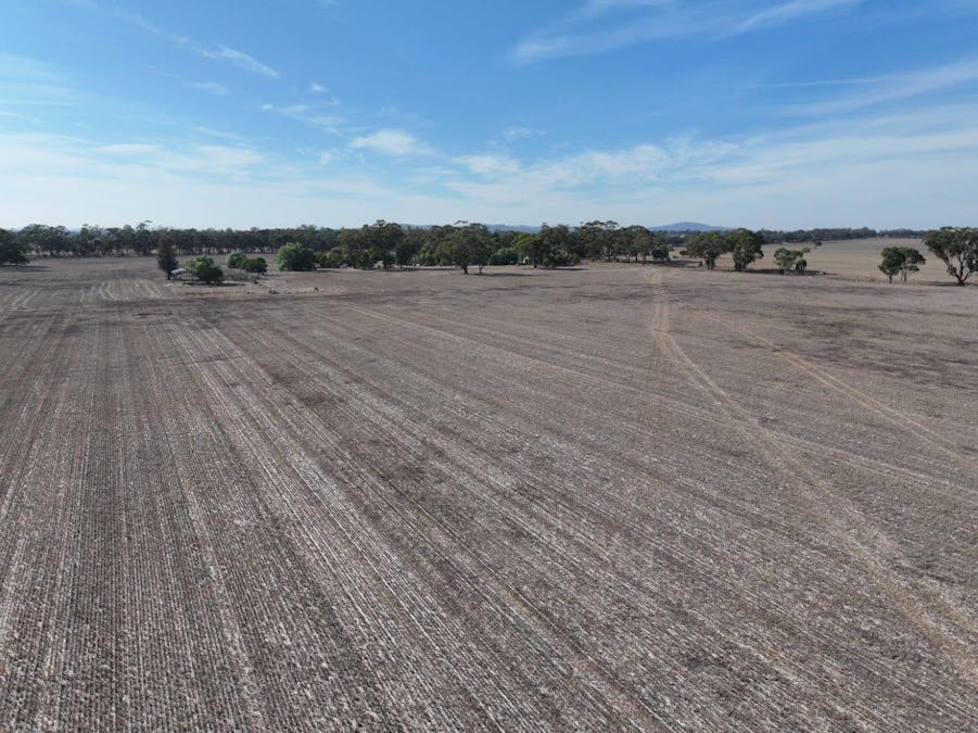 Bridgewater-Maldon Road, Laanecoorie, VIC, 3463 - Image 13