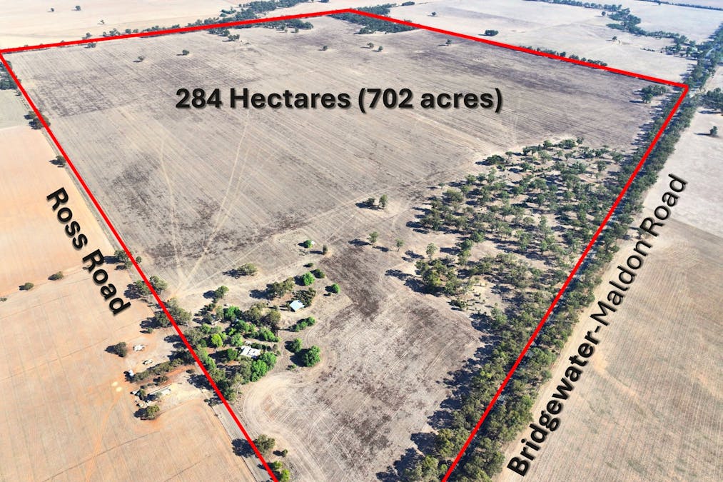 Bridgewater-Maldon Road, Laanecoorie, VIC, 3463 - Image 6