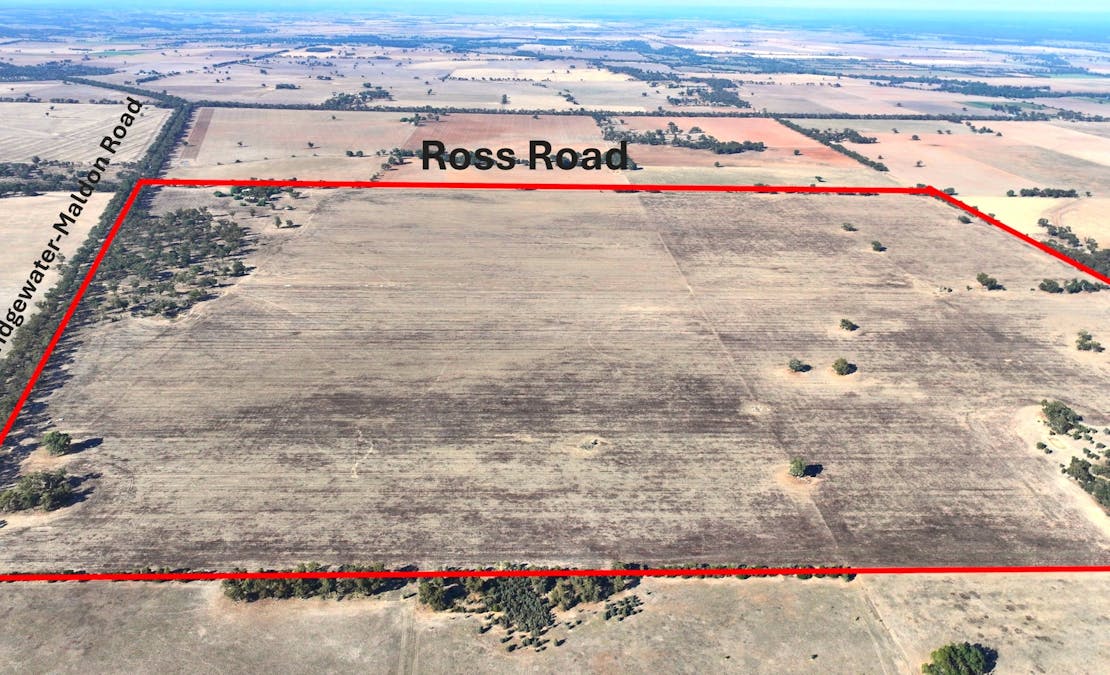 Bridgewater-Maldon Road, Laanecoorie, VIC, 3463 - Image 7