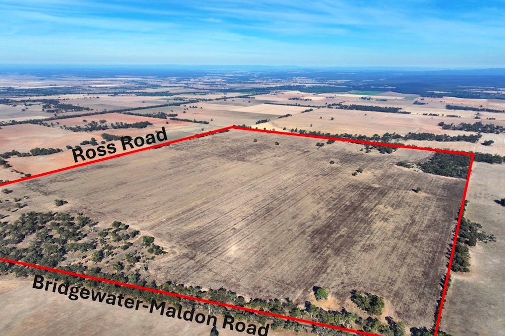 Bridgewater-Maldon Road, Laanecoorie, VIC, 3463 - Image 8