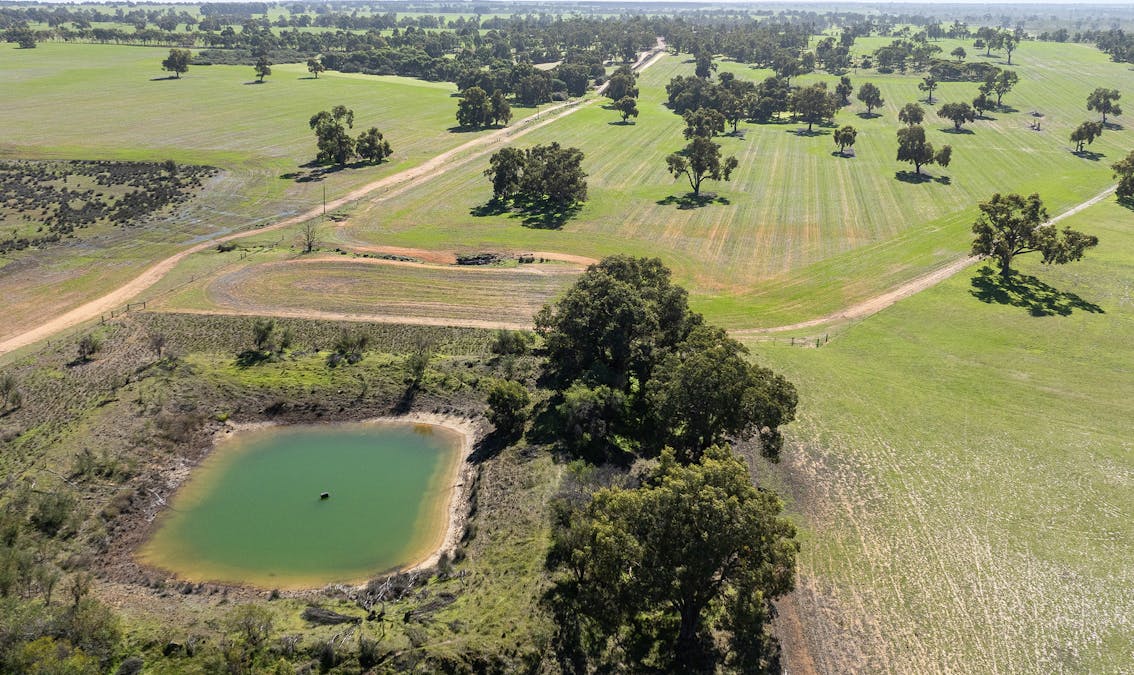 2272 North West Road, Dandaragan, WA, 6507 - Image 3