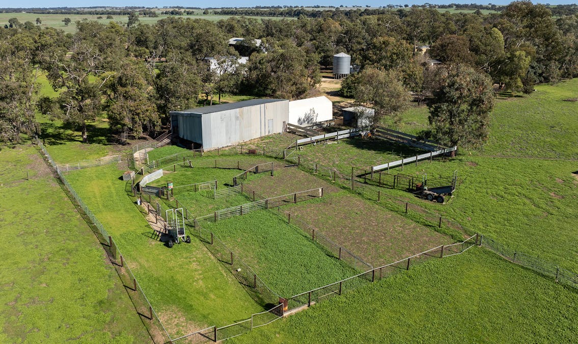 2272 North West Road, Dandaragan, WA, 6507 - Image 13