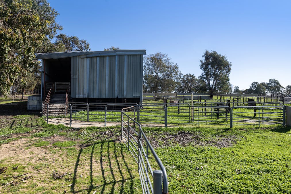 2272 North West Road, Dandaragan, WA, 6507 - Image 14