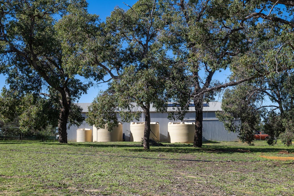 2272 North West Road, Dandaragan, WA, 6507 - Image 18
